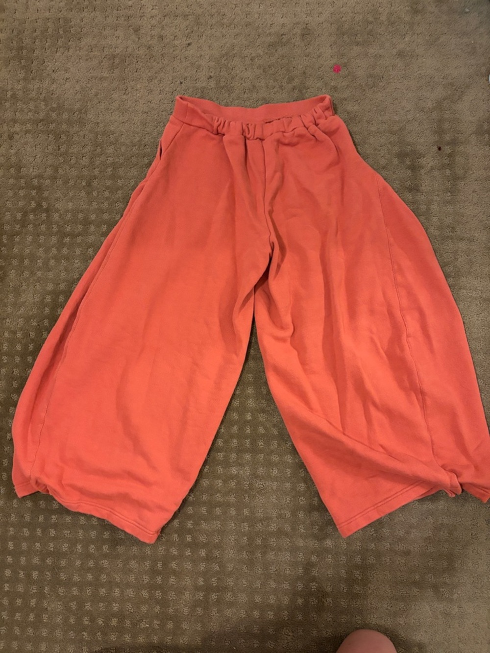 Free People Coral Wide-Leg Pull-On Pants